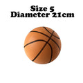 HomDunk - silent ball 21cm